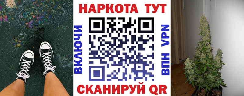 Где купить наркоту Светлогорск Кокаин  Амфетамин  Мефедрон  omg ссылки  Бошки Шишки  ГАШ 