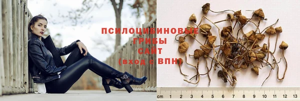 хмурый Беломорск
