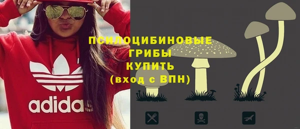 меф Белокуриха
