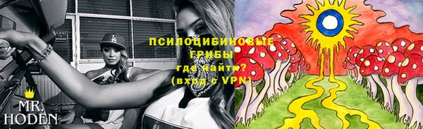 меф Белокуриха