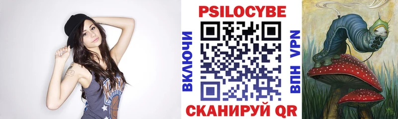 hydra зеркало закладки Светлогорск Галлюциногенные грибы Cubensis